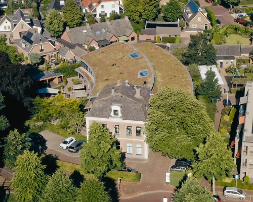 Management en ondersteuning